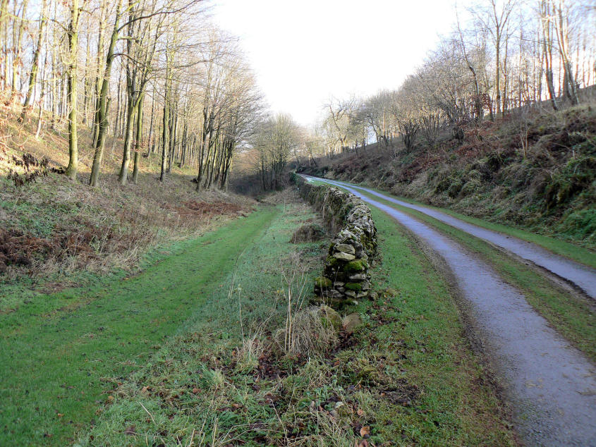 Kenslow Wood Kenslow Wood